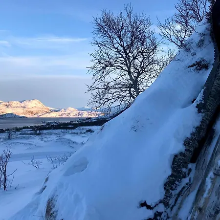 Feriehus Vengsøy Rorbuer *