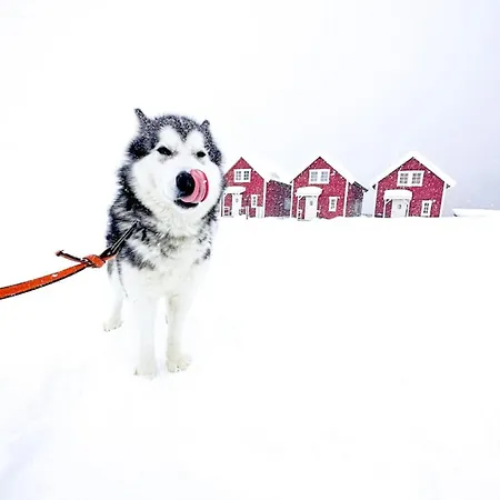 Vengsoy Rorbuer בית נופש